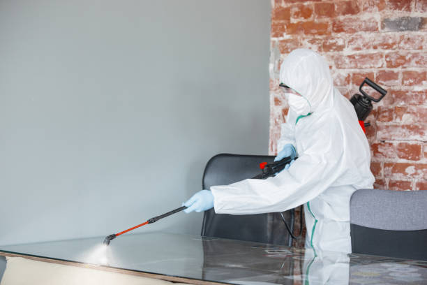 Best Commercial Mold Inspection  in Huntsville, TN